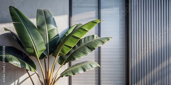 Fototapeta Green palm with reeded glass. Ribbed Background. Plant leaves. White Reeded Glass. Refreshing gradient background with stylish transparent elements. Beautiful tree decor on blurred template.