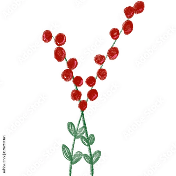 Obraz Christmas flowers 