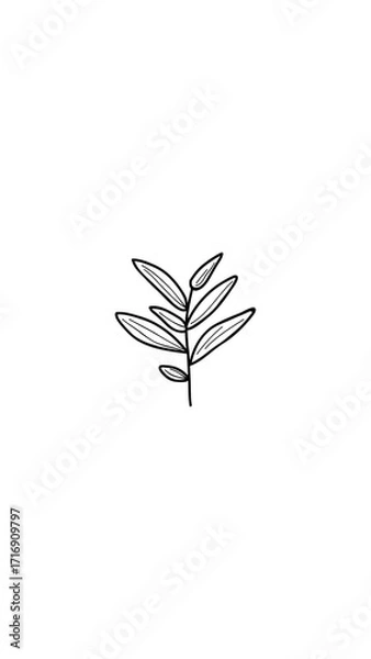 Fototapeta Simple black and white line art of a leafy sprig.