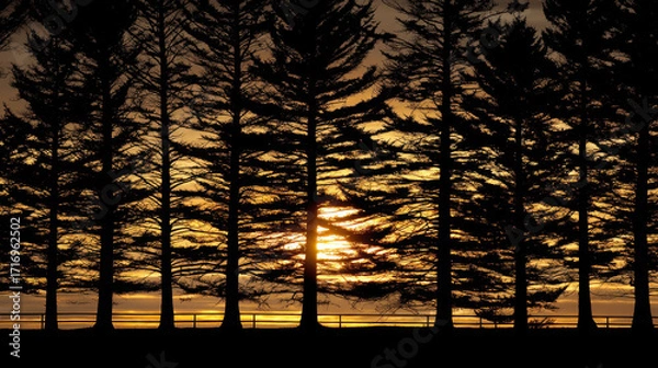 Fototapeta Silhouetted trees against vibrant sunset create stunning contrast, showcasing nature beauty. warm hues of orange and yellow blend seamlessly with dark outlines of trees, evoking sense