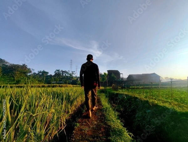 Fototapeta A person walks along a path through a vibrant green field under a clear blue sky.