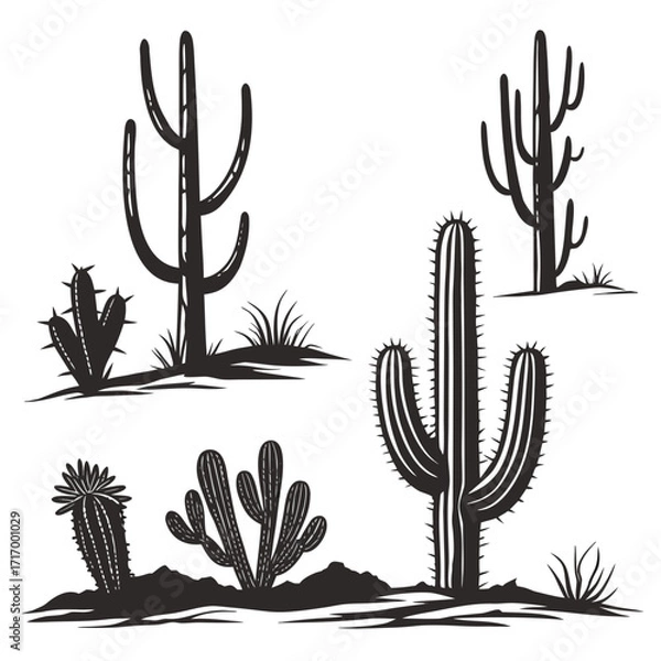 Obraz Desert Cactus Silhouettes in Various Forms plant succulent