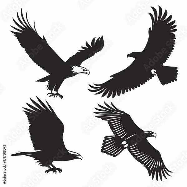 Obraz Four Dynamic Eagle Silhouettes in Flight on White Background