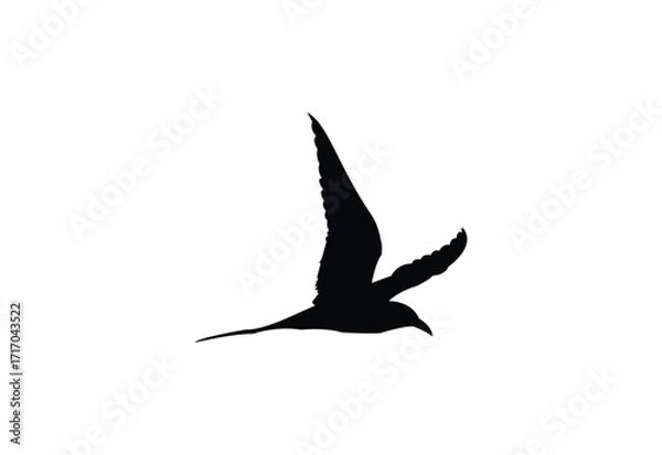 Fototapeta Bird logo design, vector illustration. Vector Concept design