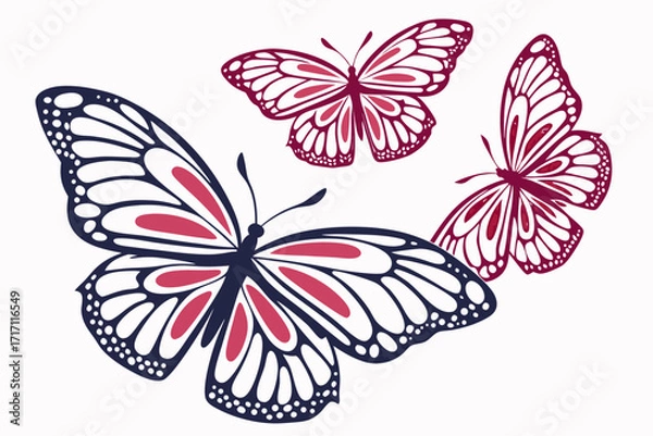 Obraz Butterfly on a white background