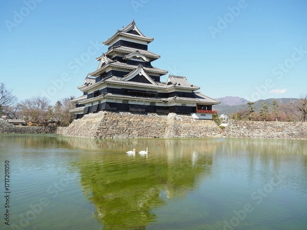 Obraz Matsumoto Castle