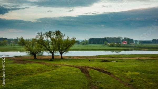 Obraz Narew river somewhere on Podlasie, Poland