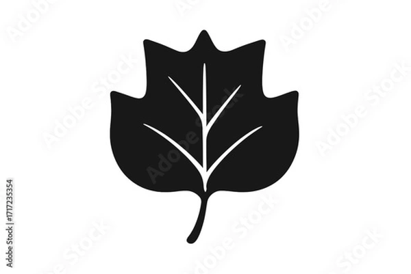 Obraz Tulip poplar tree leaf silhouette. Simple flat vector icon of a plant. Black and white botanical illustration. Natural, organic, eco friendly symbol for ecology and environment.