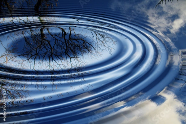 Obraz tree and cloud reflect