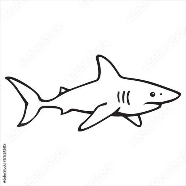 Obraz Hand Drawn Simple Shark Outline Doodle Vector