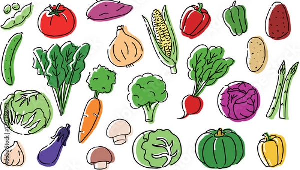 Obraz カラフルな手描き風野菜イラストセット