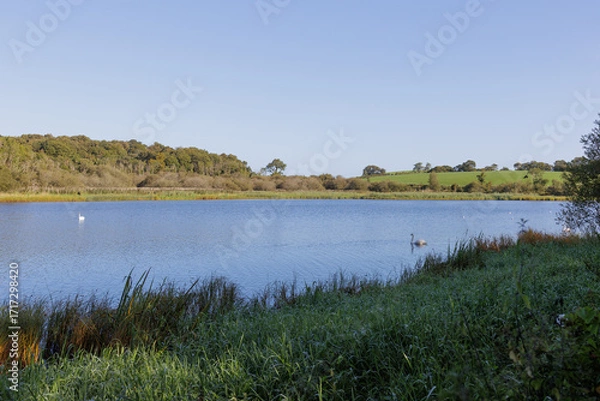 Fototapeta sunny morning Quoile River landscape, Northern Ireland.