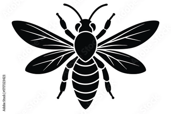 Obraz wasp silhouette vector icon design