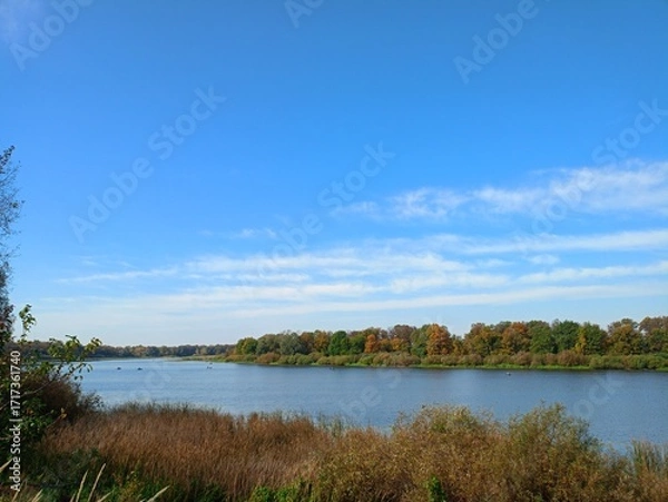 Obraz lake in the forest