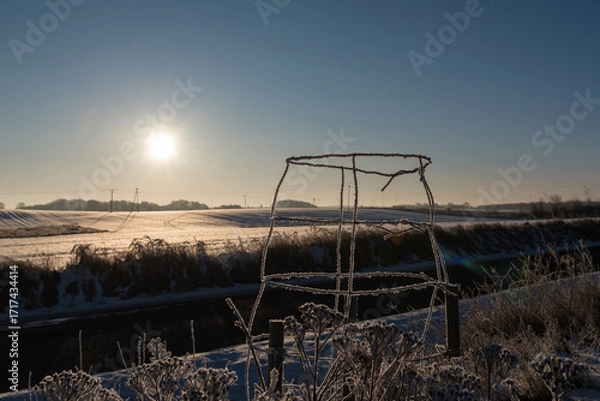 Obraz FROSTY WINTER - Snow on the fields and morning rime on the wire protector of a young tree and on the weeds
