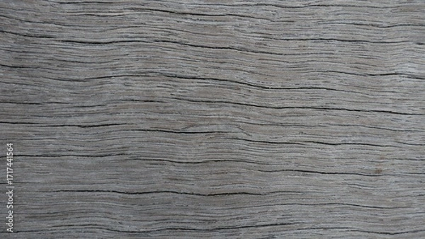 Obraz old wood texture