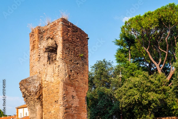 Obraz Remains of the Acquedotto Neroniano