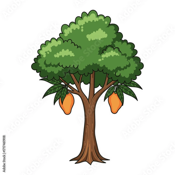 Fototapeta Cartoon tree with green leaves and two mango fruits on white background.