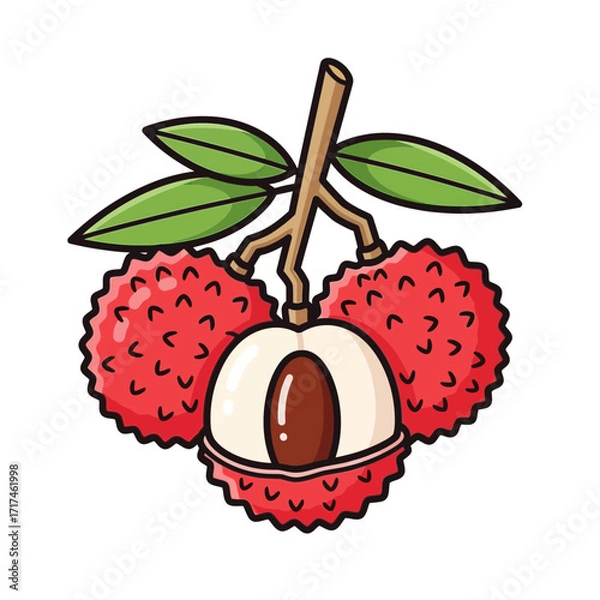 Fototapeta Cartoon illustration of lychee fruit on a branch with leaves.