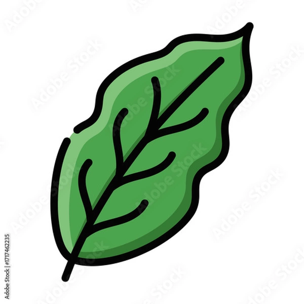 Fototapeta Single green leaf illustration with dark outline and veining on white background.