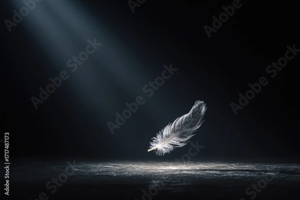 Fototapeta black feather floating in spotlight on dark background, surreal minimal clean stock photo