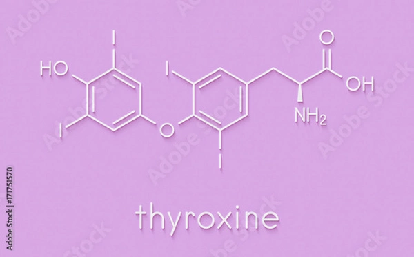 Fototapeta Thyroxine (T4, levothyroxine) thyroid hormone molecule. Prohormone of thyronine (T3). Used as drug to treat hypothyroidism. Skeletal formula.