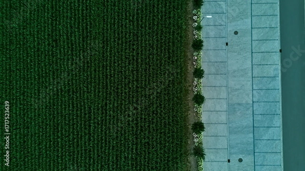 Obraz Aerial view of cornfield meeting urban parking lot