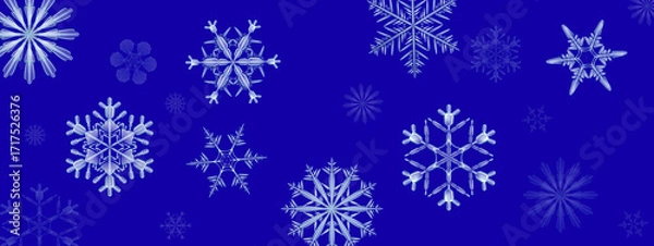 Fototapeta falling blue transparent snowflakes of different sizes on a blue background
