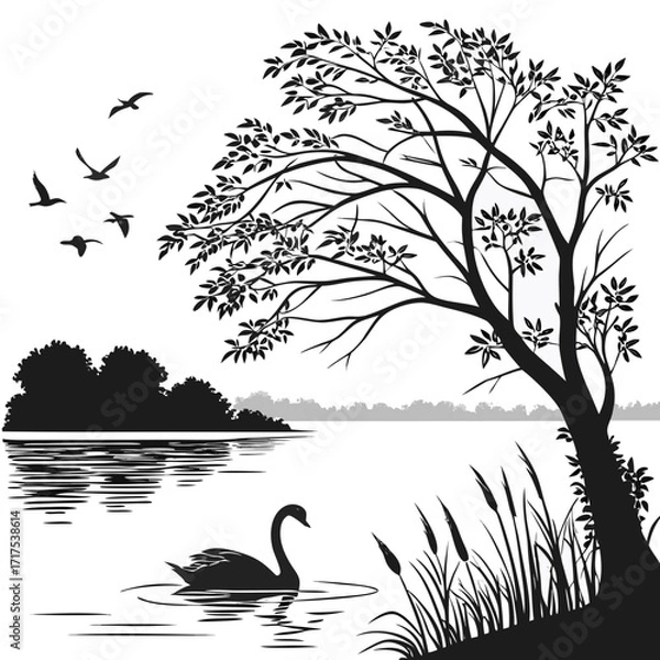 Obraz swan on the lake