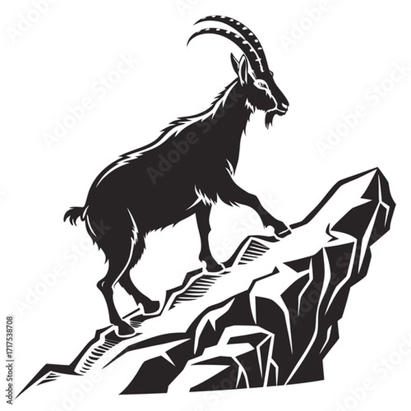 Obraz goat on a rock