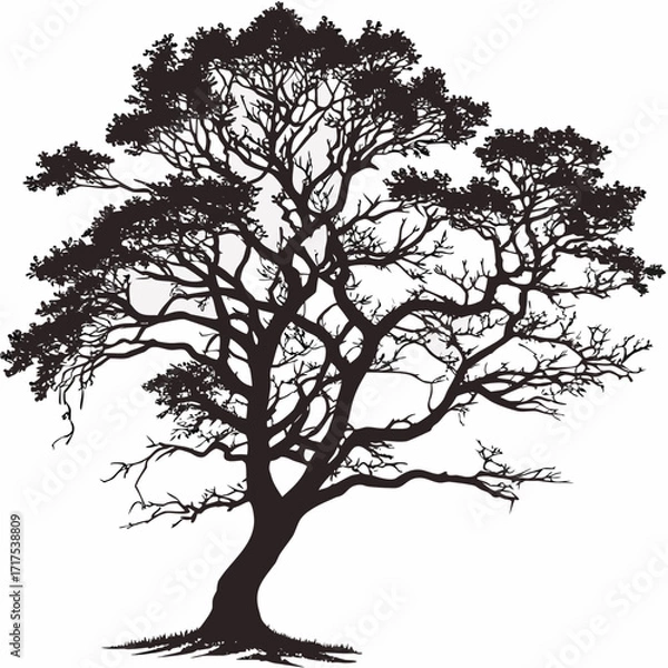 Obraz vector tree silhouette