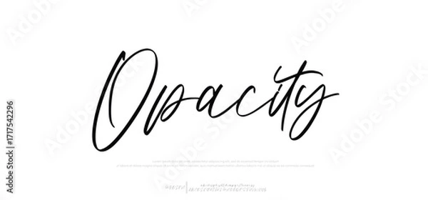 Fototapeta Lettering signature font isolated on grey background. brus style alphabet. Vector logo letters.