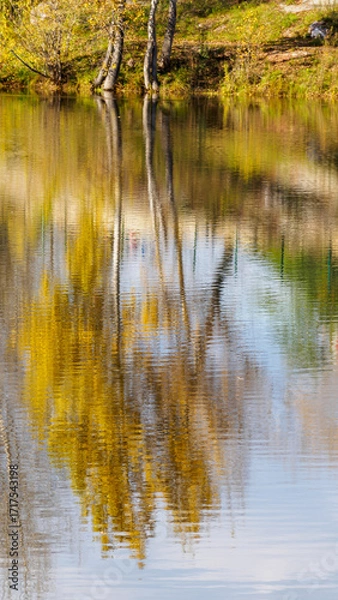 Fototapeta Abstract blurred autumn landscape: trees with yellow foliage reflected in a pond