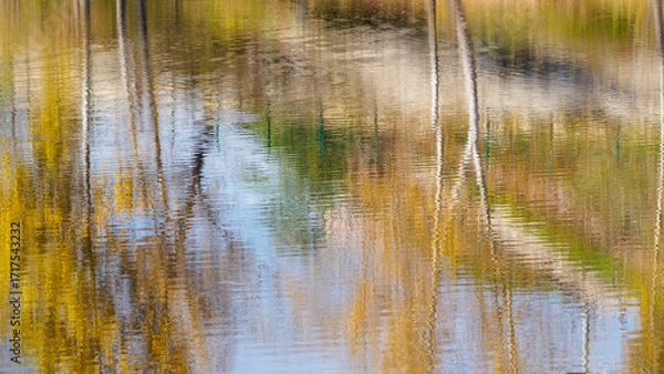 Fototapeta Abstract blurred autumn landscape: trees with yellow foliage reflected in a pond