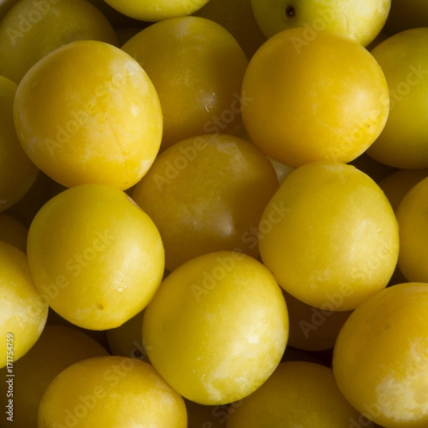 Obraz A Serving of Fresh Mirabelle Plums in Germany