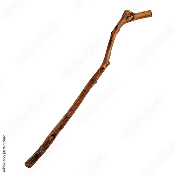 Obraz Hiking stick, white isolated background