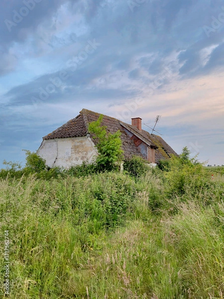 Fototapeta Very old dilapidated Danish farm house abandoned many years ago in the green countryside on a summer evening