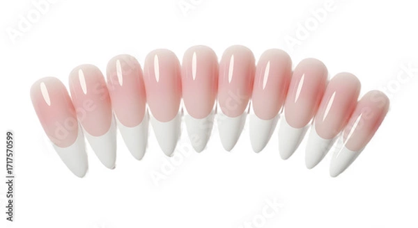 Fototapeta Set of artificial fingernails with french manicure design isolated PNG with Transparent Background