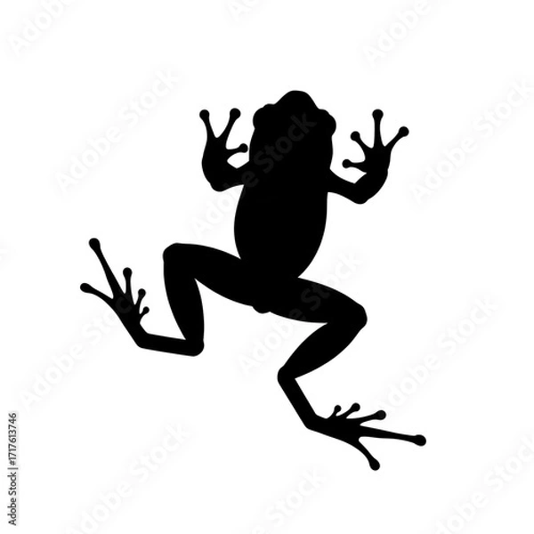 Obraz Graphic Silhouette of a Frog with Bold Outline and Simple Form isolated on a transparent background image