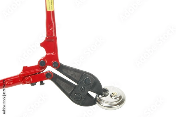 Obraz bolt cutter breaking lock