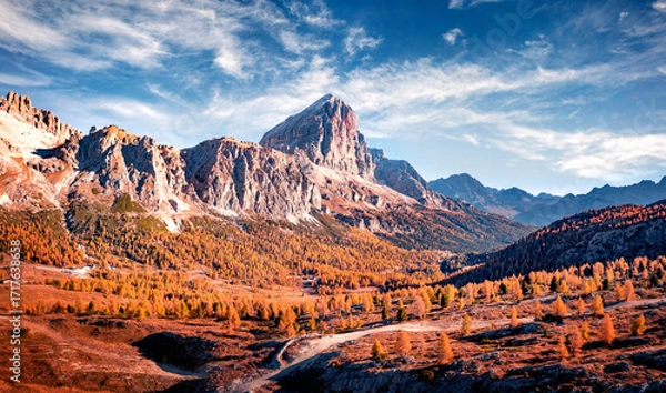 Fototapeta Sunny autumn view of larch tree forest from top of Falzarego pass with Tofana peak on background. Stunning morning scene Dolomite Alps, Cortina d'Ampezzo lacattion, Italy, Europe.