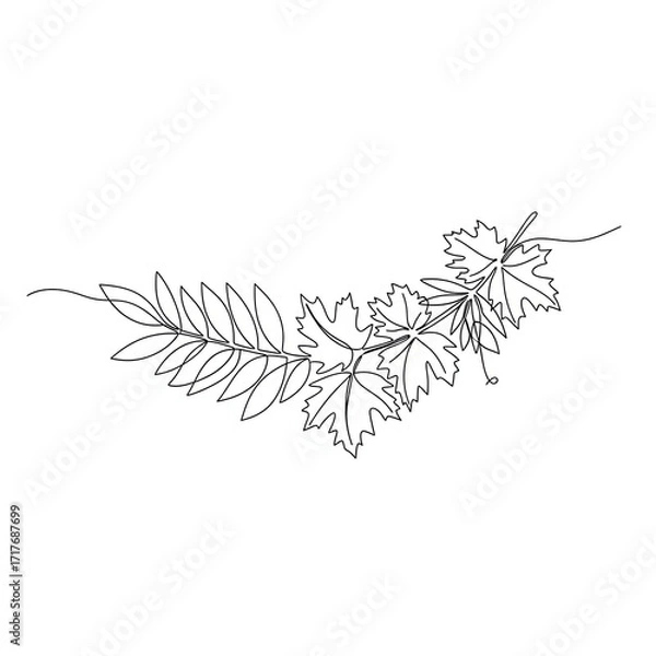 Fototapeta Line drawing of leaves in minimalist style on white background  