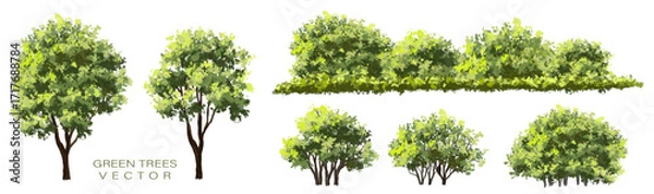 Fototapeta Vector watercolor green  tree or forest side view isolated on white background for landscape and architecture drawing,elements for environment or and garden,Shrub for section