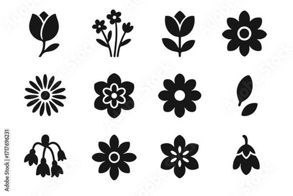 Fototapeta Burst floral vector abstract icon petal collection bloom cluster bud petals