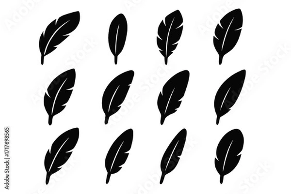 Fototapeta Eagle quill central feather shaft upward icon arc vector icons curved plume