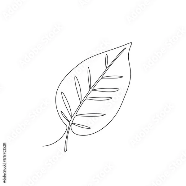 Fototapeta Simple line drawing of a fern leaf on white background  