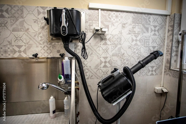 Fototapeta Detailed view of a dog grooming wash area equipped with high-velocity dryer, faucet, and shampoo bottles, highlighting veterinary hygiene equipment