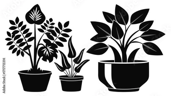 Fototapeta Vector art of collection of potted plant silhouette, featuring various houseplants in different pots for indoor decoration