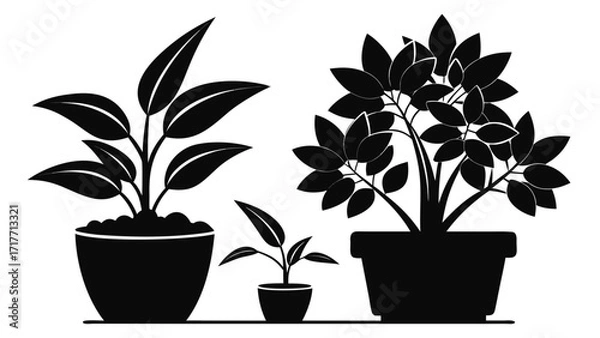 Fototapeta Vector art of set of potted plant silhouette, featuring various houseplants in different pots for indoor decoration