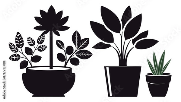 Fototapeta Vector art of silhouette illustration of three potted plants, including a lotus, calathea, and aloe vera